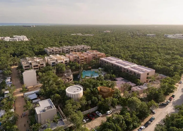 Amazing 1br Jungle With Restaurant, Pool And Gym